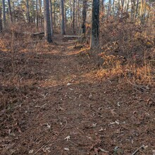 Bob Stewart - Pinhoti Trail (AL, GA)