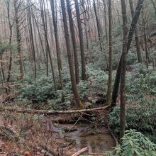 Bob Stewart - Pinhoti Trail (AL, GA)