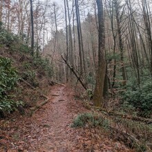 Bob Stewart - Pinhoti Trail (AL, GA)