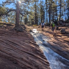 Ace Wilder - Zion Crossing (UT)