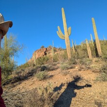 Marcy Beard - Robles to Wasson Shuffle