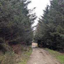 Alex Compton - The Llan-Ceiriog Way