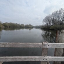 Mylène Desasy - Ultra Run du Tour de Lille (France)