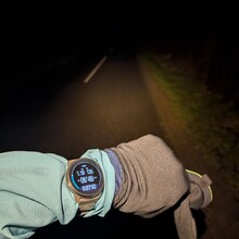 Matthias Fellner - Nissum Fjord Stien (Denmark)