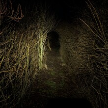 Matthias Fellner - Nissum Fjord Stien (Denmark)