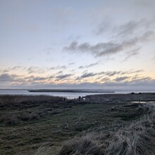 Matthias Fellner - Nissum Fjord Stien (Denmark)