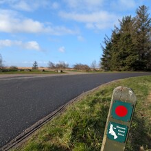 Matthias Fellner - Nissum Fjord Stien (Denmark)