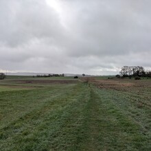 Chris Reckinger - Mullerthal Trail Route 3 (Luxembourg)