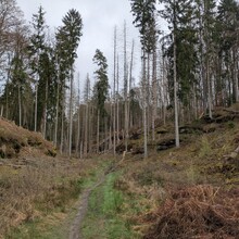 Chris Reckinger - Mullerthal Trail Route 3 (Luxembourg)