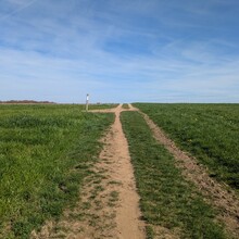 Chris Reckinger - Mullerthal Trail Route 2 (Luxembourg)