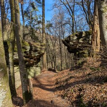 Chris Reckinger - Mullerthal Trail Route 2 (Luxembourg)