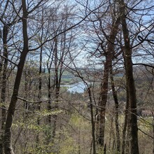 Chris Reckinger - Mullerthal Trail Route 2 (Luxembourg)