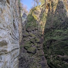 Chris Reckinger - Mullerthal Trail Route 2 (Luxembourg)