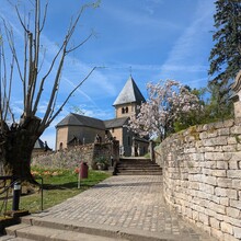 Chris Reckinger - Mullerthal Trail Route 1 (Luxembourg)