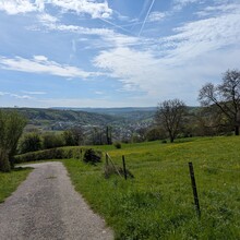 Chris Reckinger - Mullerthal Trail Route 1 (Luxembourg)