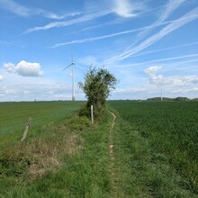 Chris Reckinger - Mullerthal Trail Route 1 (Luxembourg)