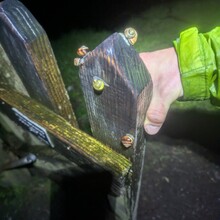 Mark Aldridge - Peak District Boundary Walk (UK)