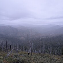 Elisabeth Phillips-Jones - Kalmiopsis Wilderness: Leach Memorial Loop (OR)