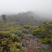 Elisabeth Phillips-Jones - Kalmiopsis Wilderness: Leach Memorial Loop (OR)