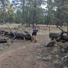 Marcy Beard - Flagstaff Loop Trail (AZ)