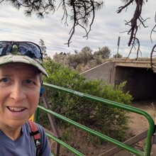 Marcy Beard - Flagstaff Loop Trail (AZ)