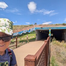 Marcy Beard - Flagstaff Loop Trail (AZ)