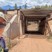 Marcy Beard - Flagstaff Loop Trail (AZ)