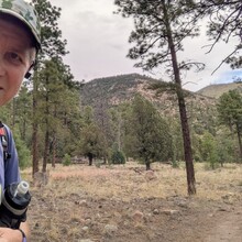 Marcy Beard - Flagstaff Loop Trail (AZ)