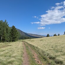 Lee headsizeburrito Lemon - Rainbow Trail (CO)