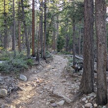 Lee headsizeburrito Lemon - Rainbow Trail (CO)