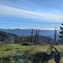 Lee headsizeburrito Lemon - Rainbow Trail (CO)