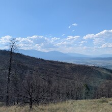 Lee headsizeburrito Lemon - Rainbow Trail (CO)