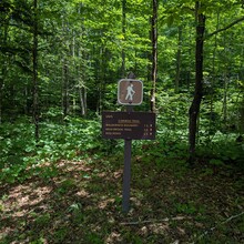 Audrey Fox, Clyde Tibbetts - Caribou Mountain (ME)