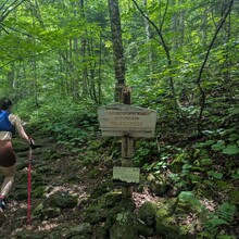 Audrey Fox, Clyde Tibbetts - Caribou Mountain (ME)