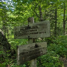 Audrey Fox, Clyde Tibbetts - Caribou Mountain (ME)