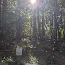 Patrick Combs - Sweet Trail (Out and Back) (NH)