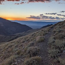 Renee Elsdon Jacobs - Toiyabe Crest Trail