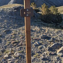 Renee Elsdon Jacobs - Toiyabe Crest Trail