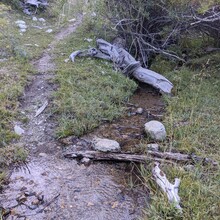 Renee Elsdon Jacobs - Toiyabe Crest Trail