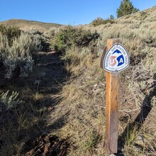 Renee Elsdon Jacobs - Toiyabe Crest Trail