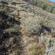 Renee Elsdon Jacobs - Toiyabe Crest Trail