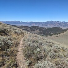 Renee Elsdon Jacobs - Toiyabe Crest Trail
