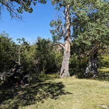 Renee Elsdon Jacobs - Toiyabe Crest Trail