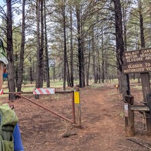 Marcy Beard - Flagstaff Loop Trail (AZ)
