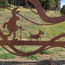 Marcy Beard - Flagstaff Loop Trail (AZ)