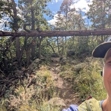 Marcy Beard - Flagstaff Loop Trail (AZ)