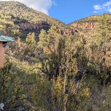 Marcy Beard - Flagstaff Loop Trail (AZ)