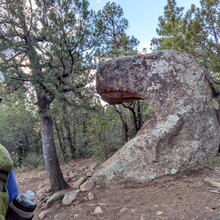 Marcy Beard - Flagstaff Loop Trail (AZ)