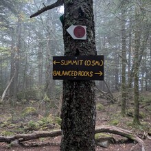 Shane Benish - Lake Placid 9er Challenge (NY)