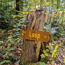 Kyra Powell - Algonquin Highland Backpacking Trail (ON, Canada)